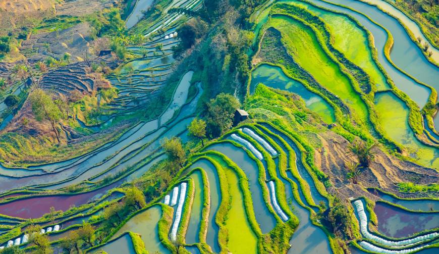走进广安区TVC拍摄：解锁本地化场景与创意镜头的完美融合